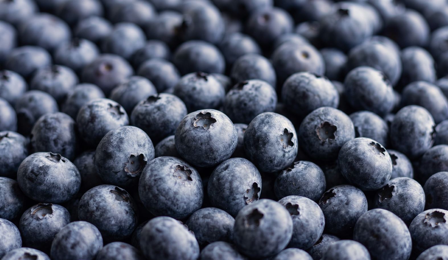 Premium Blueberries